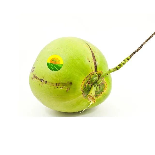 High Quality- Low Price Fresh Coconut From Viet Nam - Buy Xiem Green ...