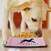Ski Group Of Special Stainless Steel Dog Product Food Bowl Feeders Color