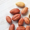 Fresh Blanched Peanuts Splits