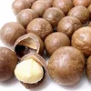 Best price new crops macadamia nuts