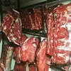 Cattle Beef Body.