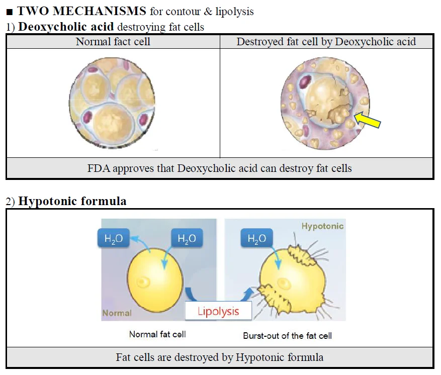 Deoxycholic Acid Face Contour & Lipolysis Injection