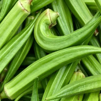 FRESH GREEN OKRA.jpg