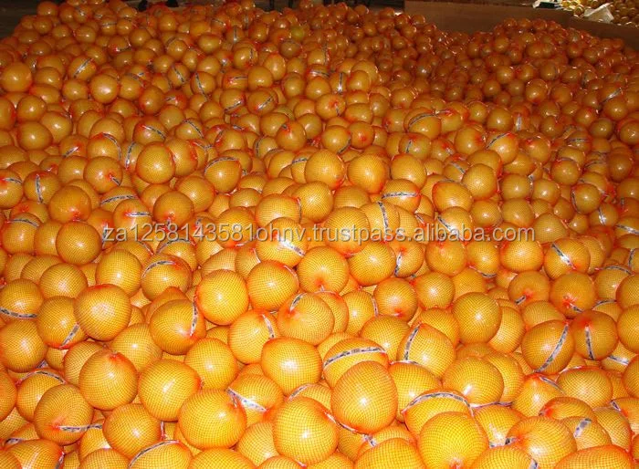 fresh pomelos (8/9/10/11/12) - buy 新鮮柚子待售 product on