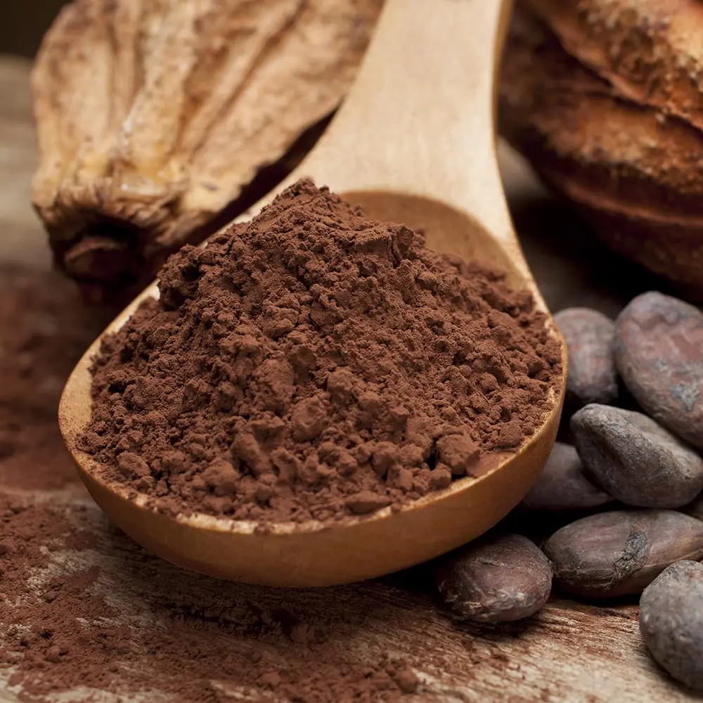 wholesale natural cocoa powder from factory in bags