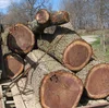 PINE,SPRUCE, BIRCH, OAK, ASH LOGS / TIMBER AVAILABLE