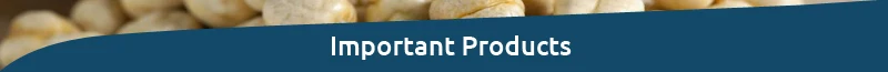 Important-Product-t.jpg