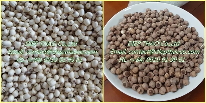 Kering Biji Teratai Vietnam Harga Terbaik Biji Teratai Buy Biji Teratai Hitam Biji Teratai Putih Biji Teratai Product On Alibaba Com