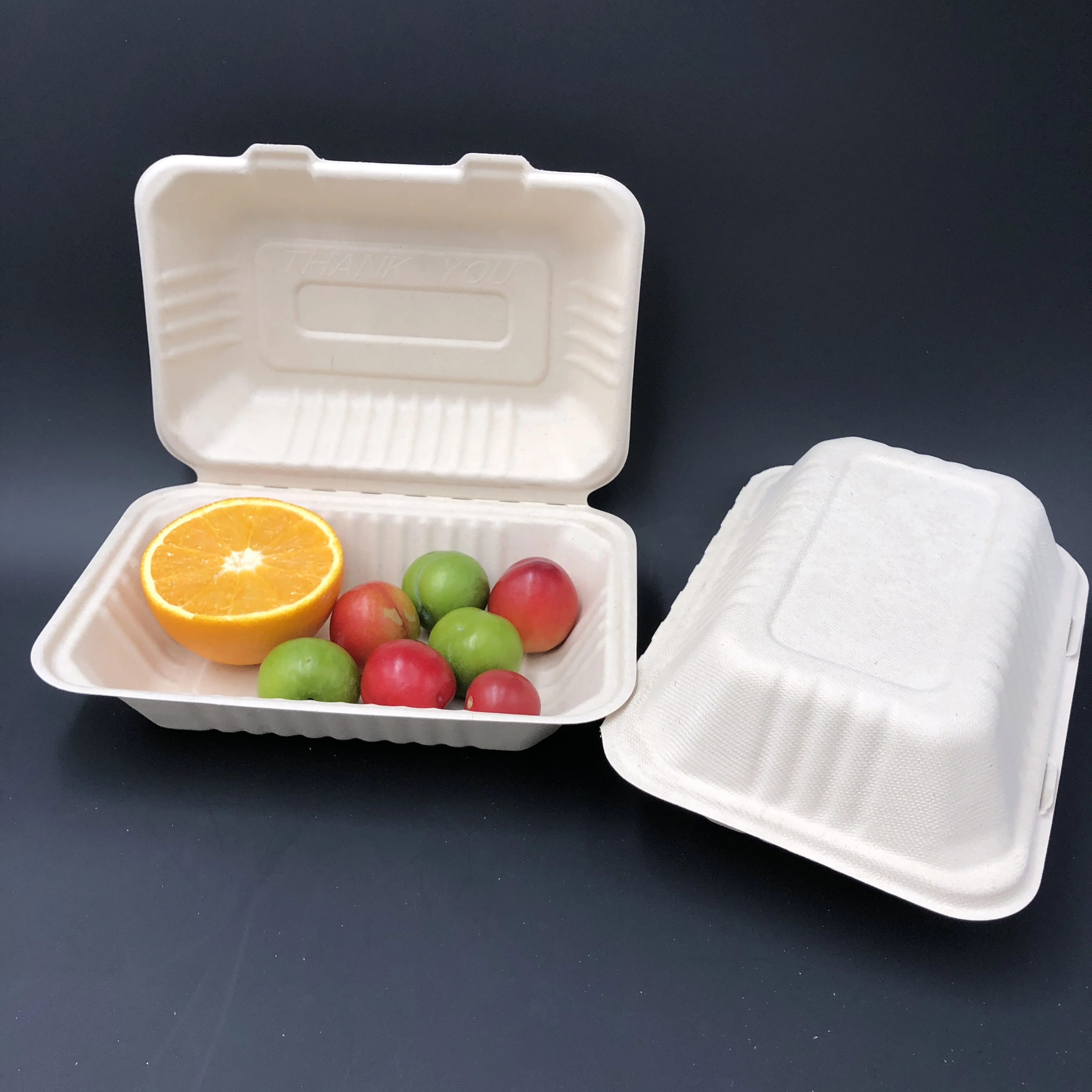 Eco Friendly Food Packaging Disposable Sugarcane Bagasse Food Container ...