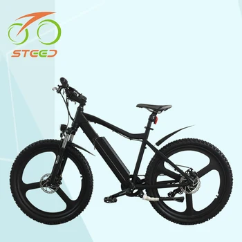 electric bike brushless motor