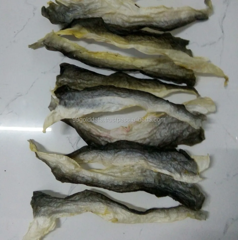 Frozen Fish Skin/ Dried Fish Skin/extraction Collagen From Dried