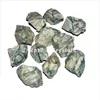 Healing tumbled stone : Tree Agate Raw Tumbled Stones