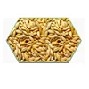 2016 Newly Cropped Best Quality Barley Seeds for Wholesale Buyer