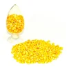 Yellow Corn Grain from Russia