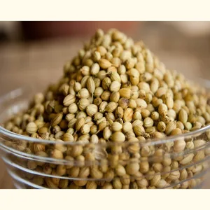 best quality coriander seed
