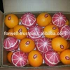 In the early days of the orange industry, harvesters climbed ladders and pulled the fruits off by hand