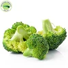 Top Grade Quality Bulk Conventional Broccoli Seed Oil