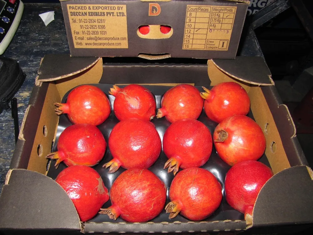 fresh red pomegranate form india