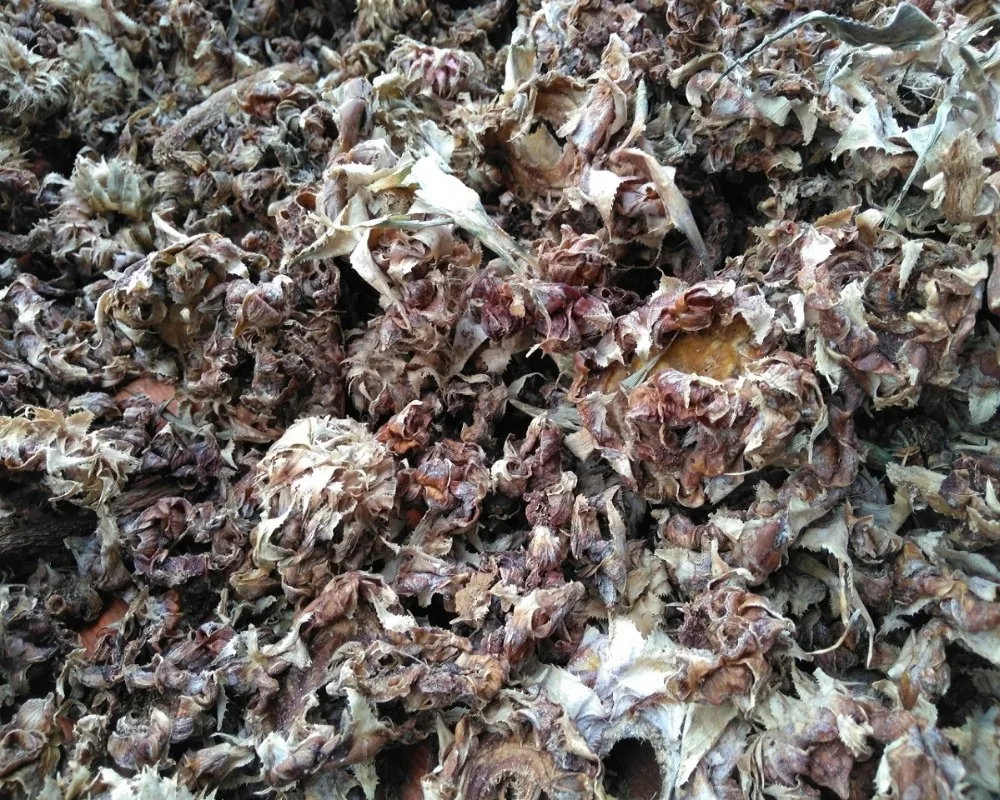 Export Quality Dried Pineapple Peel For Water Purifying Buy Dried