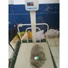 AA Grade (1.5 Kg Up) Beef Omasum/Buffalo Oamsum Available for Buyers with Very Good Price