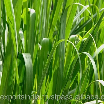 pure palmarosa essential oil