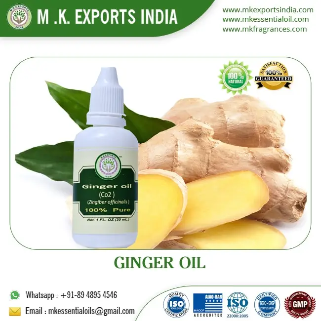 Gmp Approved Natural Fresh Ginger Oil Buy Ginger Flower Essential Oil,Ginger Lynn Oil,Ginger