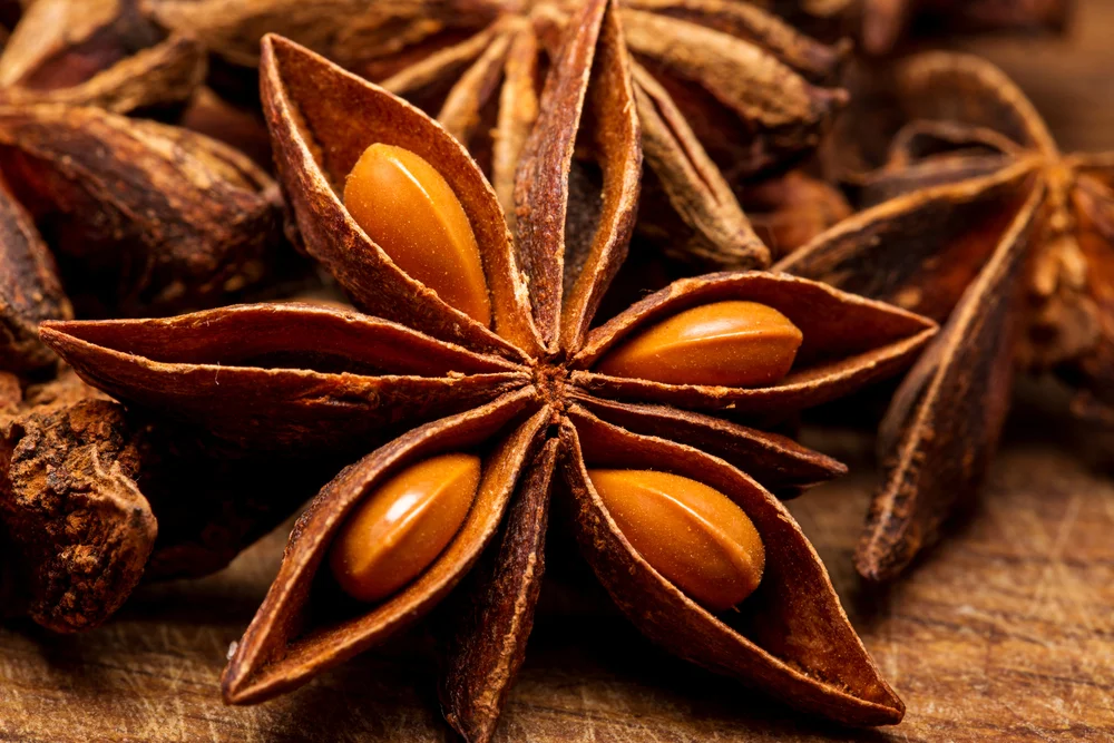 star anise spices from vietnam