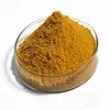 Corn Gluten Meal / Animal feed / Feed Grade Yellow Corn