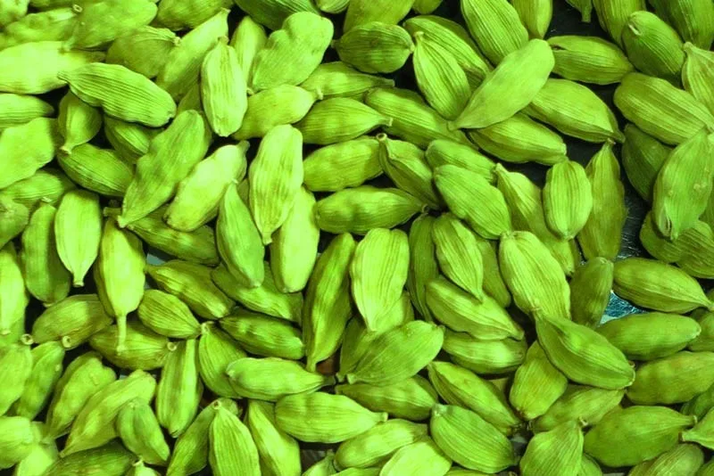 natural best quality fresh green cardamom elachi spice for wholesale view green cardamom green cardamom product details from bf global trading pty ltd on alibaba com natural best quality fresh green cardamom elachi spice for wholesale view green cardamom green cardamom product details from bf global trading pty