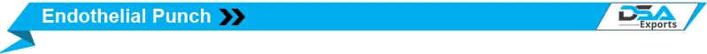 Endothelial Punch Title.jpg