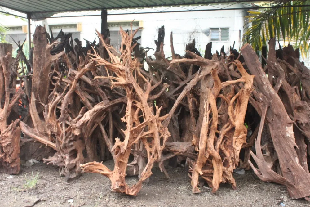 Malaysian Driftwood Buy Driftwood Mangrove Product on