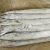 frozen hairtail / ribbon fish/ belt fish whole round/section
