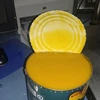 exporters of mango pulp from india