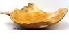 NATURAL HORN BOWLS