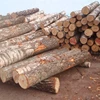 Birch Logs form the manufacturer