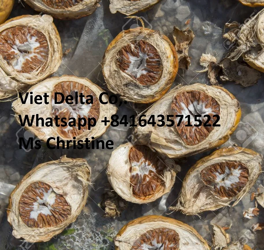 Betel Nut/ Dried Betel Nut/fresh Betel From Vietnam Buy Vietnam Betel