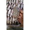 Frozen 3 spot crabs and Blue Swimming Crabs Now Available for China, Thailand Buyers