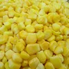 Yellow Corn for poultry feed for sale yellow maize Best Price for sale from Turkey