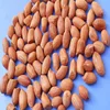 Bold Peanut