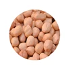 Groundnuts