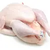 Clean Halal Chicken Feet / Frozen Chicken Paws Turkey / Fresh chicken wings and foot