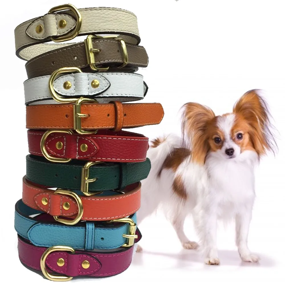 luxury dog collars and leashes