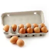 fresh white eggs for sale