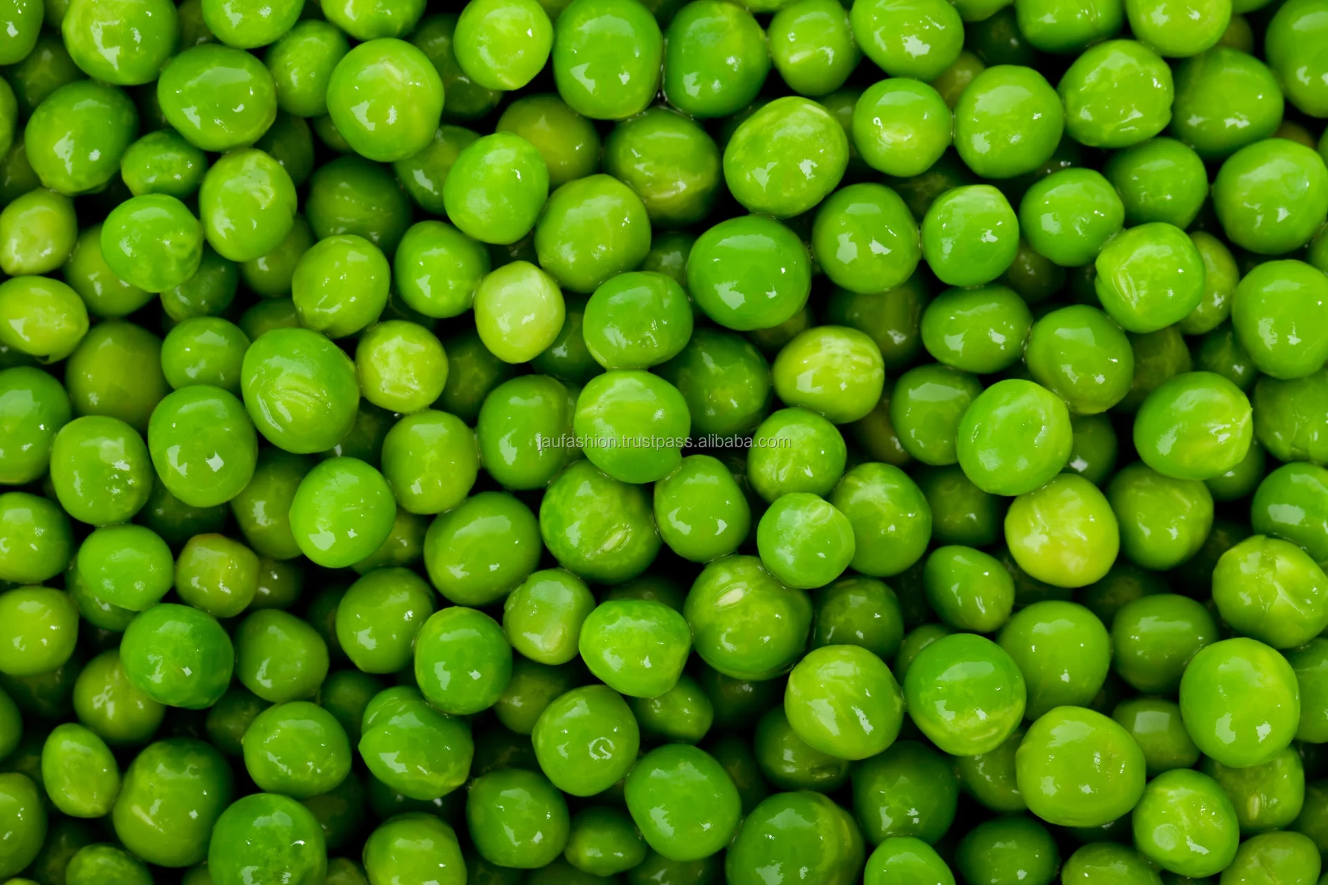 fresh green peas / green peas supplier in india / fresh peas