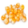 /product-detail/feed-grade-yellow-corn-yellow-maize-yellow-corn-grains-62001128258.html