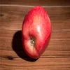 Red Delicious Gala Apples Exports From South Africa