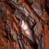 Iron Ores