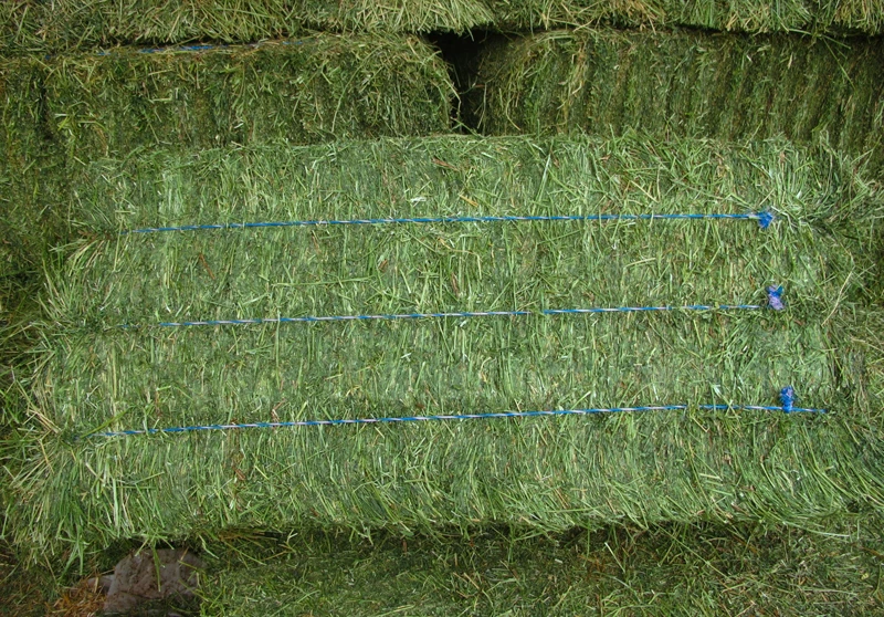 Quality Nutritional Alfalfa Hay For Animal Feed Buy Alfalfa Hay