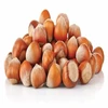 Hazelnuts Inshell & Kernels/ Organic Hazel Nuts