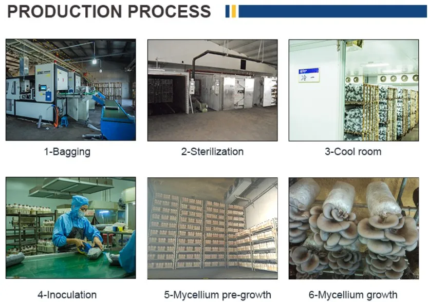 Oyster product process
